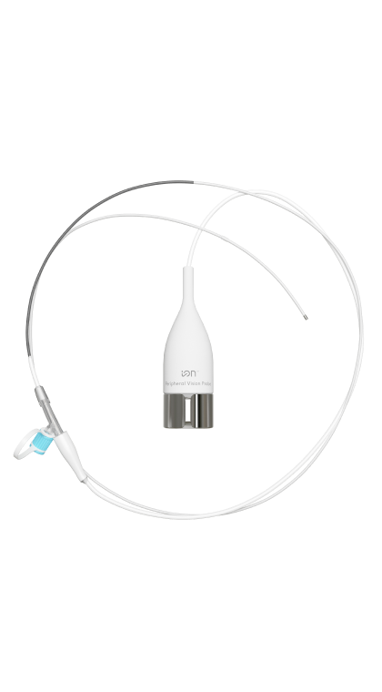Ion vision probe catheter