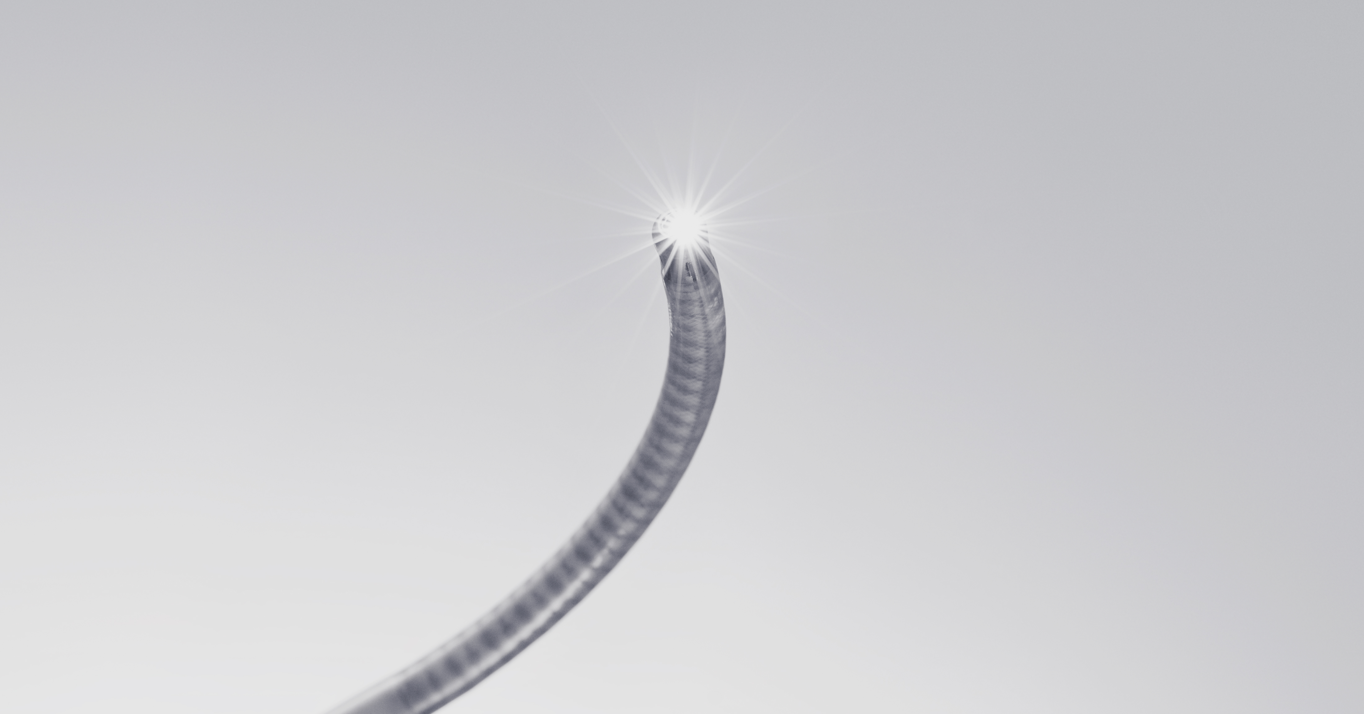 Ion catheter with fiber optic shape sensing for bronchoscopy